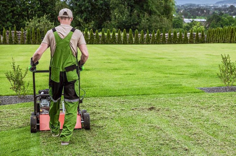 Lawn Aeration in Bismarck, ND